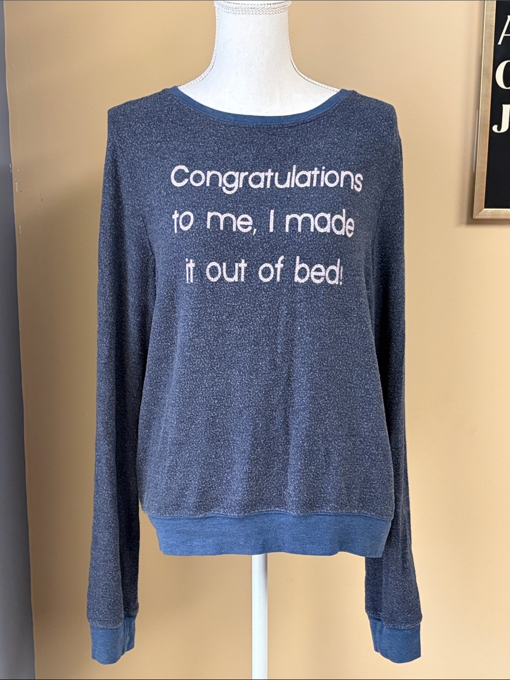 Wildfox Navy and Heather Blue Pullover